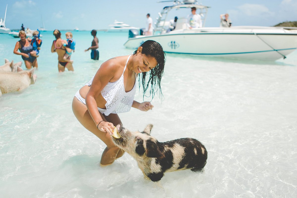 2 seater golf cart rentals Staniel Cay